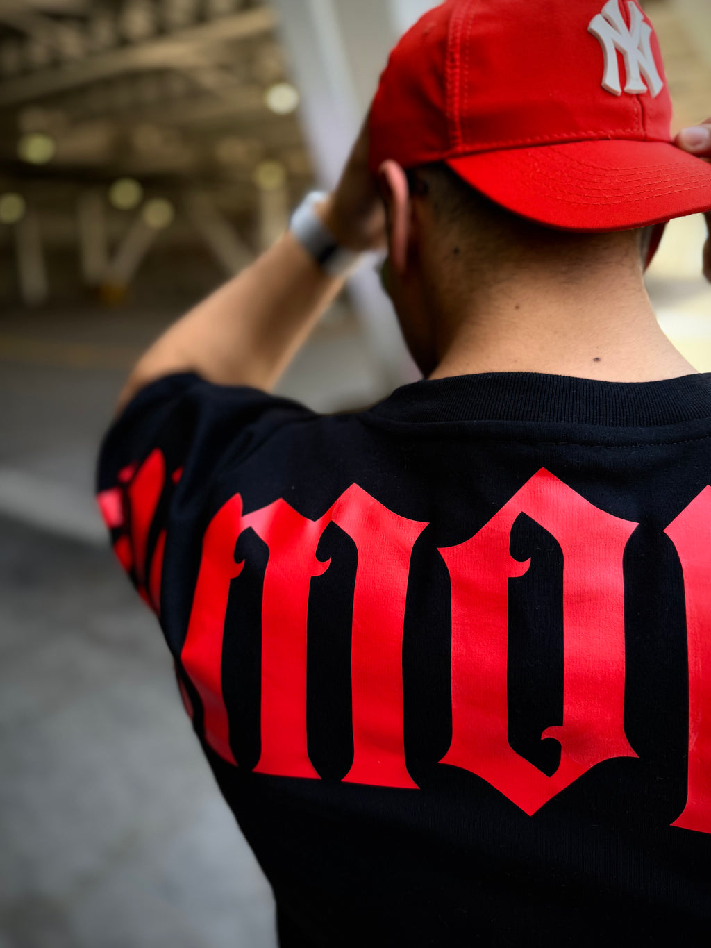 BIG RED BACK